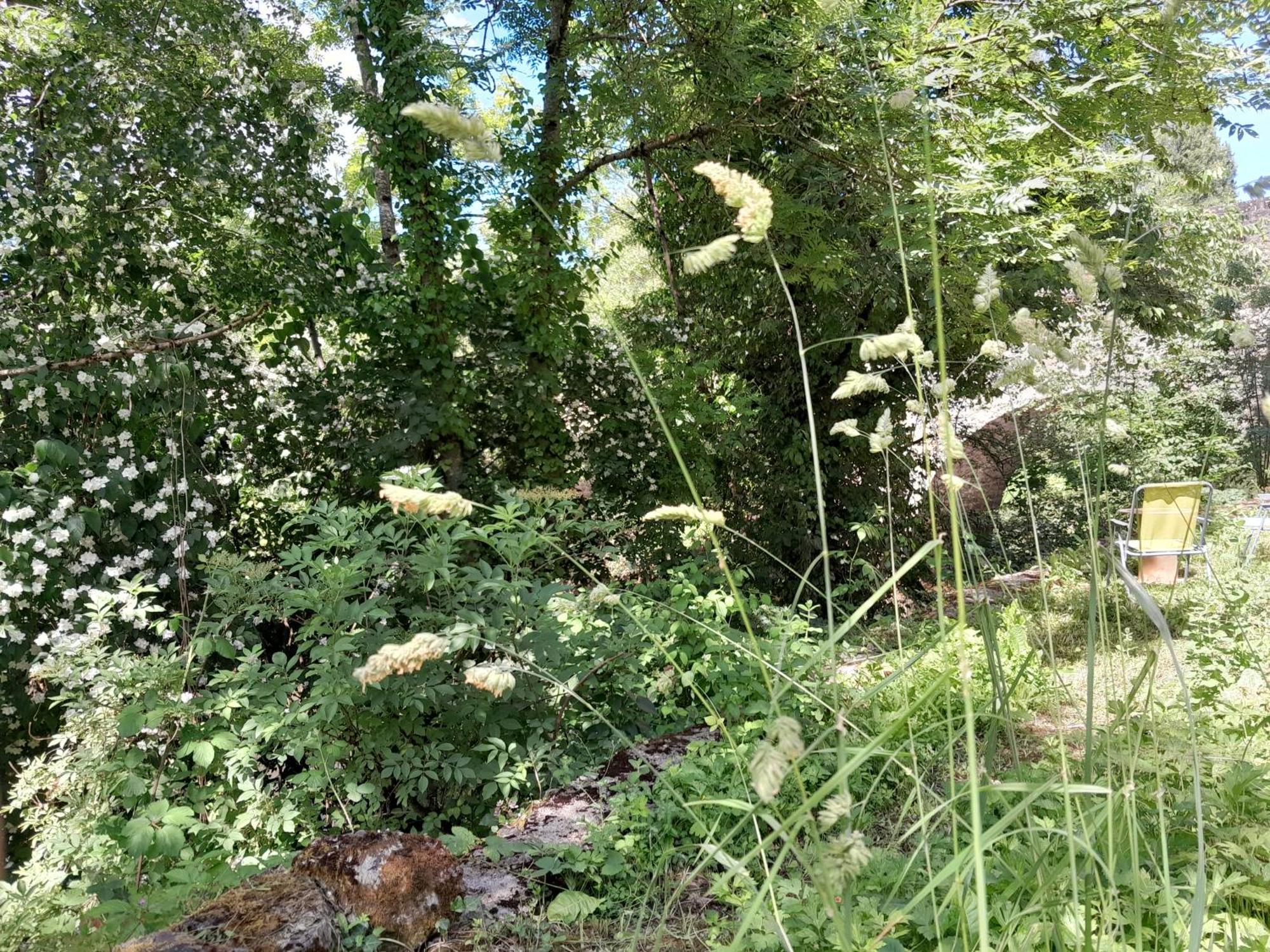Le Petit Cele Studio Cosy En Bord De Riviere Figeac Exterior photo